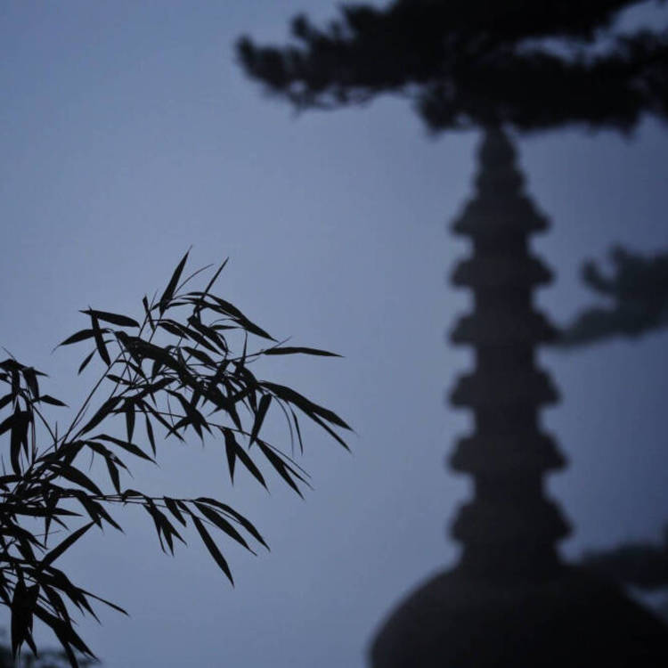 山崎润（饰 三井） - 独立电影小众在线观看 - 平板视频